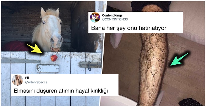 Denizaşırı Mizahta Bu Hafta: Son Günlerde Yabancıları Kahkahaya Boğmuş 15 Komik Tweet