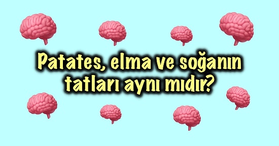 Bu Genel Kültür Testinin Son Sorusunu Her 10 Kişiden 9’u Göremeyecek!