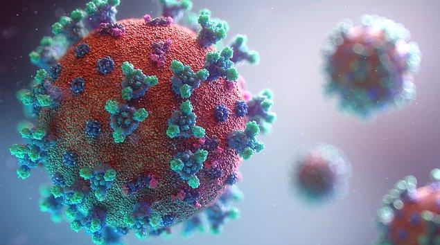 Tayland'ın yaptığı açıklamalara göre bu yeni tip koronavirüsün ilk yayılımı, vefat eden bir hastadan onu muayene eden doktora geçerek yayılmaya başlamış.