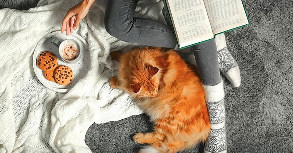 Yeteneklerine Göre Evde Yapabileceğin Etkinliği Söylüyoruz!