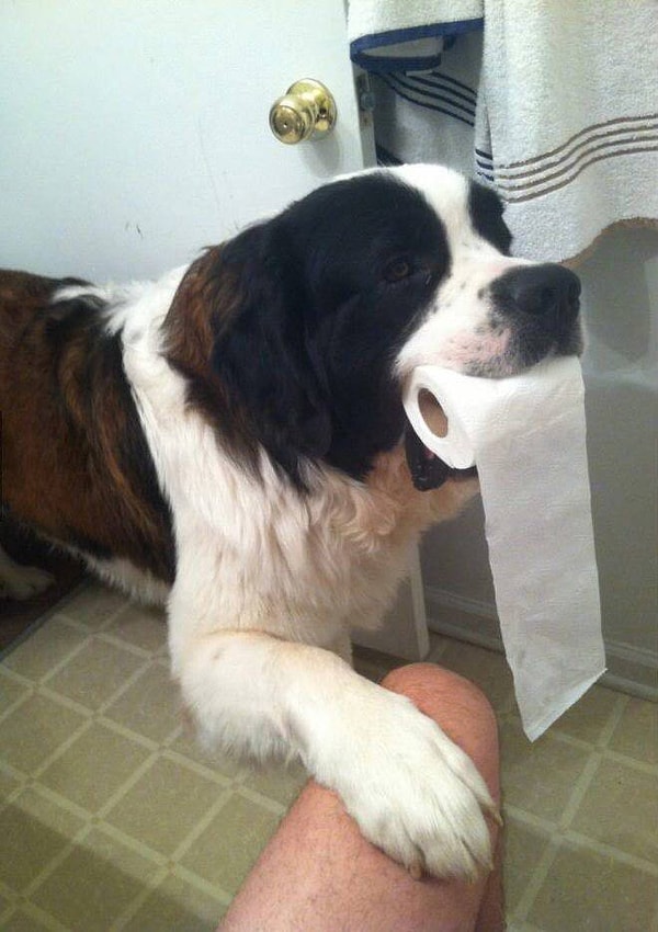 9. Но нет смысла спорить, что мы без них никуда!