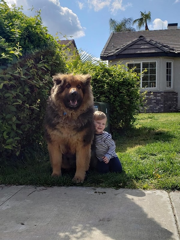 10. Bebek ve köpeği... Yoksa ayısı mı?