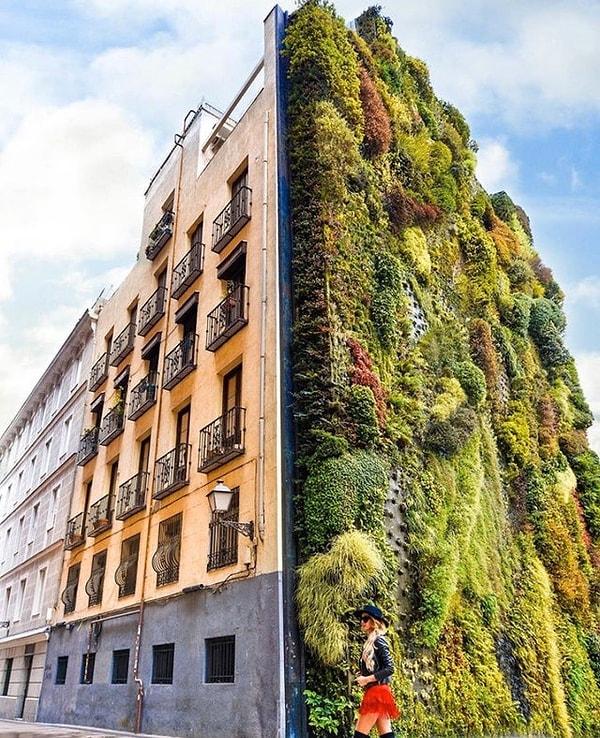 4. Madrid'de bulunan yapının güzelliğine bakar mısınız?