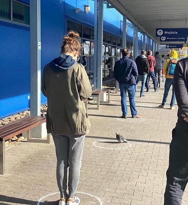 6. Тем временем в Польше