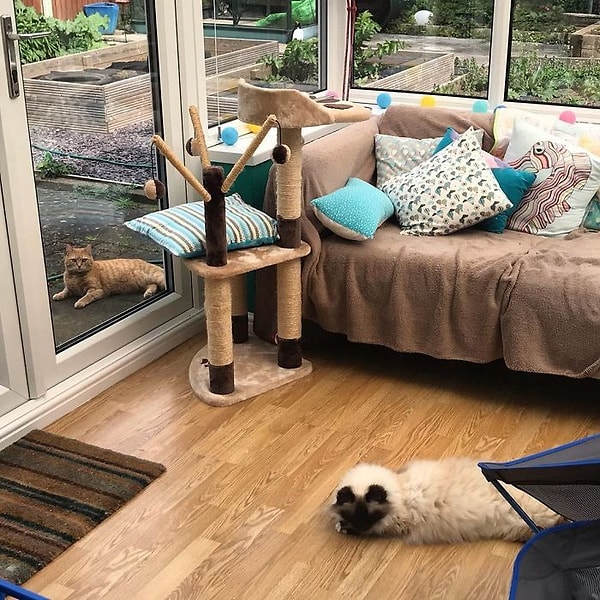 23. Оставайтесь дома,пожалуйста