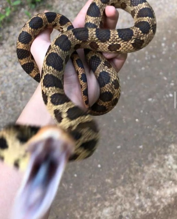 7. Момент, когда я понял, что сделал ошибку