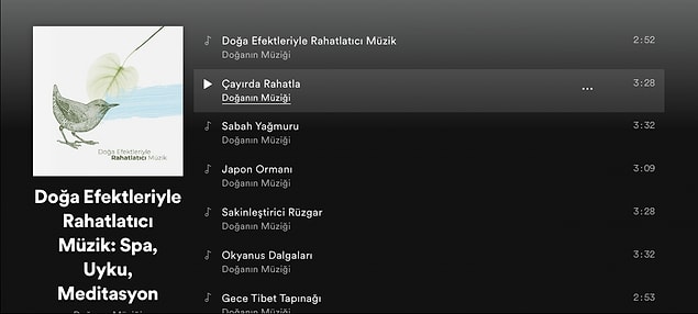 12. İçindeki parçalara bayılacağınız liste, Doğa Sesleri ile rahatlatan şarkılar!