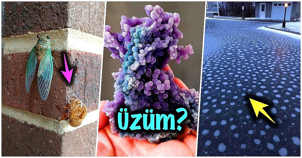 Bu Haftalık Bu Kadar İnternet Yeter: Şaşırma Kotanızı Ağzına Kadar Dolduracak 17 Yeni Görsel