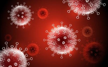 60 Derece Sıcaklığa Maruz Bırakılan Koronavirüs Çoğalmaya Devam Etti
