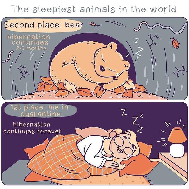 17. Dünyanın en uykucu hayvanları: