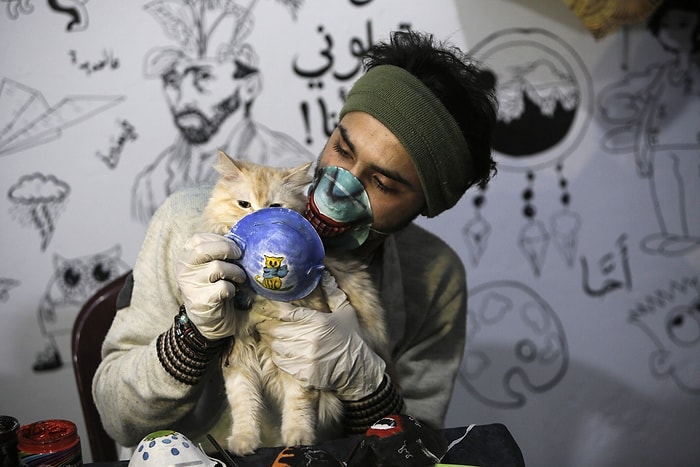 Как защитить домашних животных, жизнь которых становится трудной из-за коронавируса?