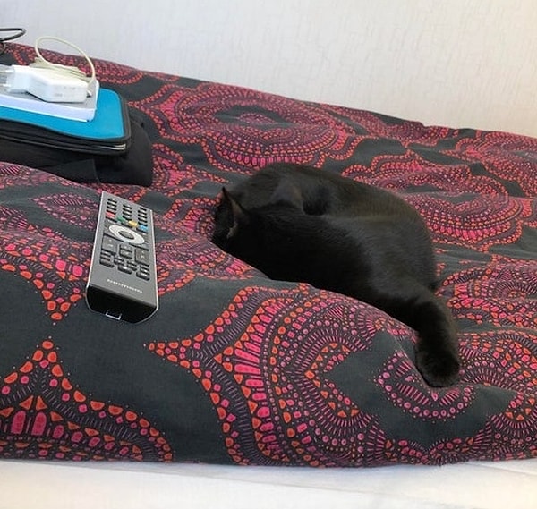 9. "Как будто пульт был добавлен к фотографии позже с помощью фотошопа, но это не так"