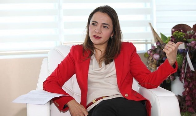 Sürecin siyasi boyutu nedir?