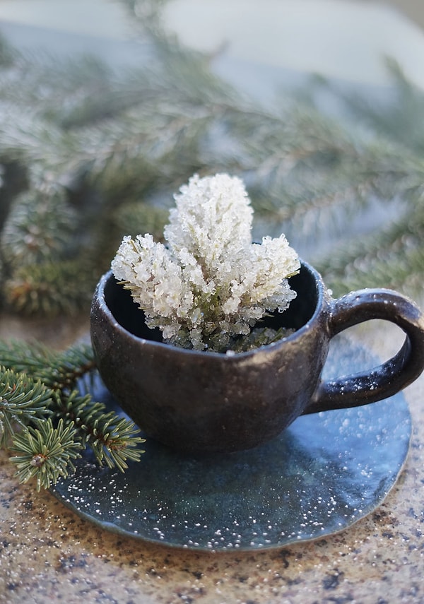 7. Зимний чай