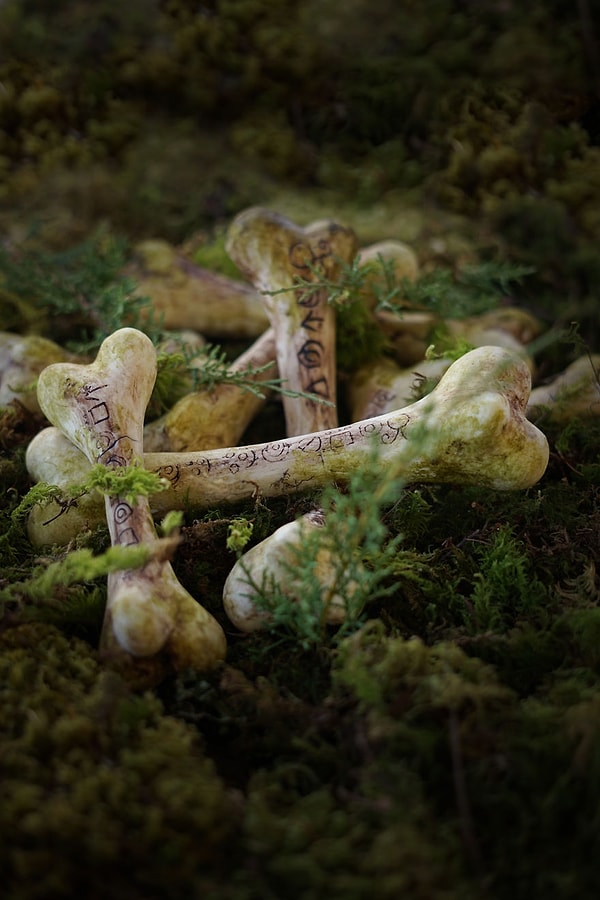 8. Жуткие кости