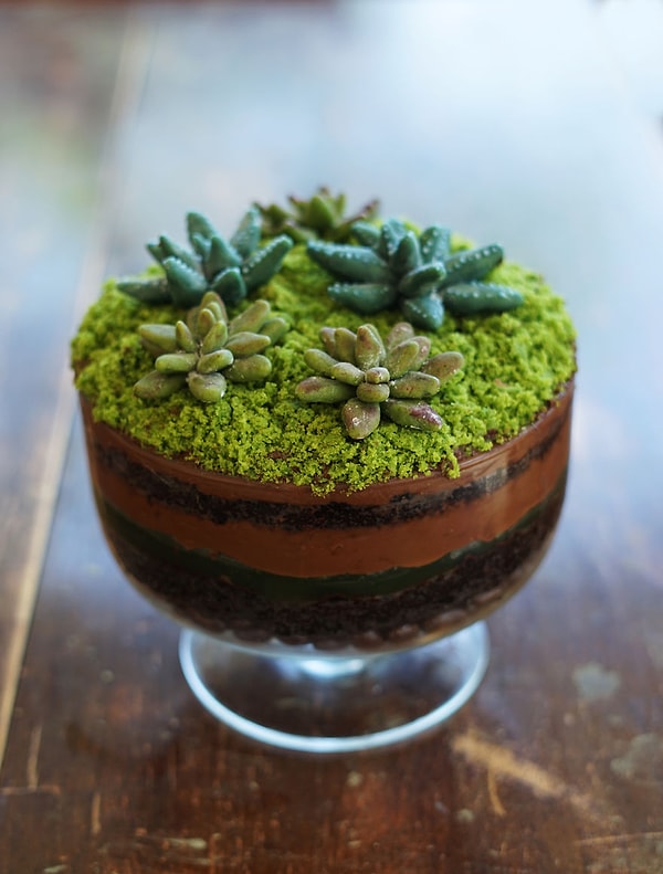 11. Суккулентный террариум