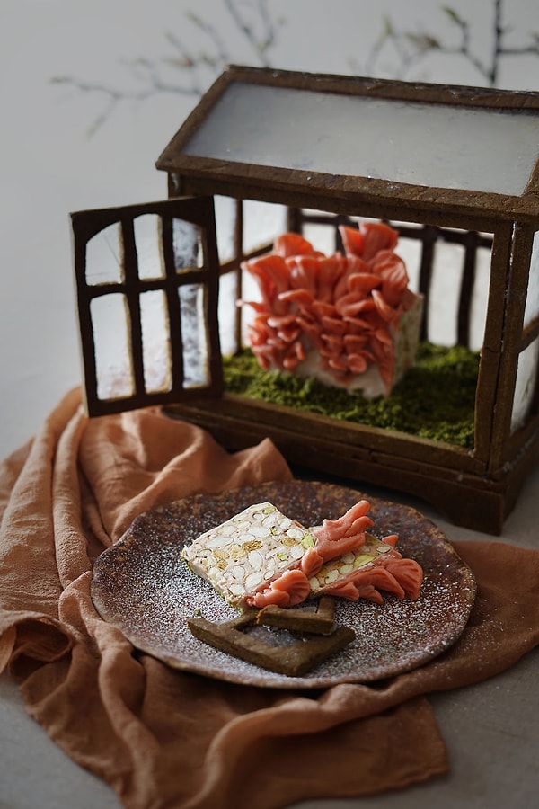 23. Розовые вешенки в теплице