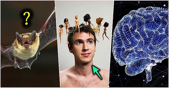 Öğrendikten Sonra 'Bildiğim Her Şey Bir Yalandan İbaretmiş' Diyeceğiniz Birbirinden Şaşırtıcı 15 Doğru Bilinen Yanlış