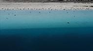Salda Gölü İçin 'Ayak Bile Basmayın' Diyen Prof. Kantarcı'dan Uyarı: 'Kamyonlarla Taşınan Kum Değil Huntit'