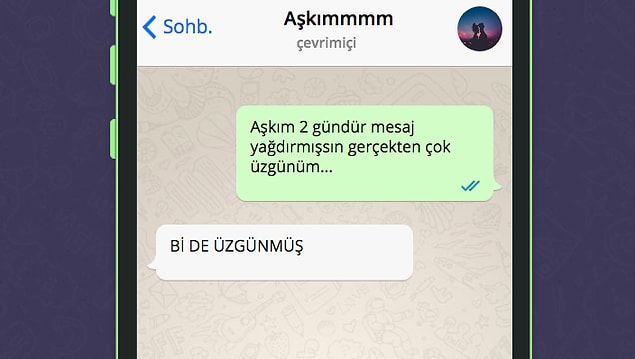 Imm... Devam et bakalım.
