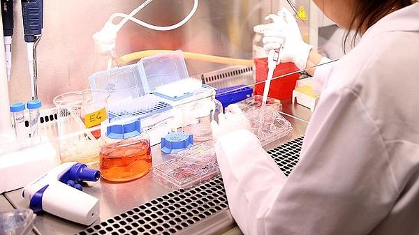 "2 - Kök hücre çalışması: 7 hasta üzerinde araştırma yapıldı"