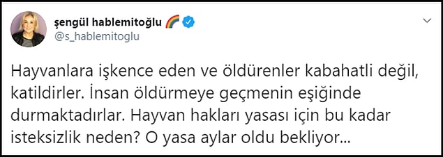 📌 Dora'nın öldürülmesinin ardından Hayvan Hakları Yasası'nın bir an önce kabul edilmesi için çağrılar yapıldı