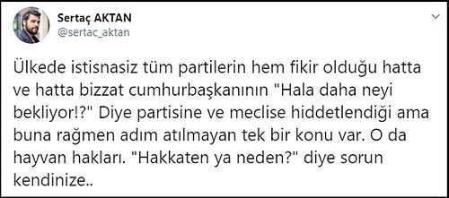 Yavru Köpek Dora'yı Yere Vurarak Öldüren Kişiye Ev Hapsi Kararı