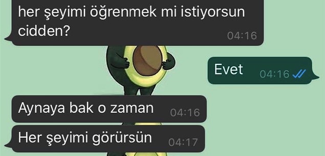 14. Vay vay vayyyyy