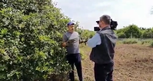 Kurmaca 'Limon Röportajını' Yapan Mahmut Dölek Kendini Savundu: 'Görüntüleri Mizah Amaçlı Çektim'