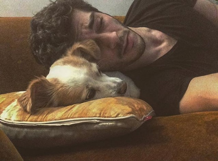 Кошатники и собачники среди турецких актеров