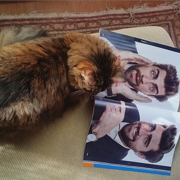 3. Чаглар Эртугрул с котами Минношем и Сталкером