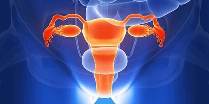 Bu Kadın Anatomisi Testinin Sonunu Çok Az Kişi Görebilecek!