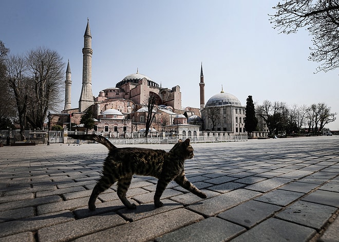 Bugün Toplanacak Kabinenin Gündemi: 65 Yaş Üstü, 1 Mayıs ve Okullar