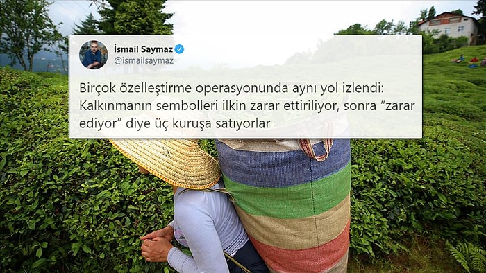 'Önce Zarar, Sonra Özelleştirme': Varlık Fonu’na Devredilen ÇAYKUR'un Üç Yıllık Zararı 1,5 Milyar TL