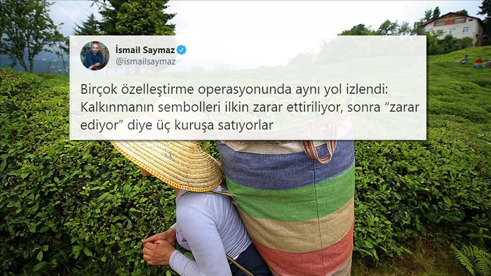 'Önce Zarar, Sonra Özelleştirme': Varlık Fonu’na Devredilen ÇAYKUR'un Üç Yıllık Zararı 1,5 Milyar TL