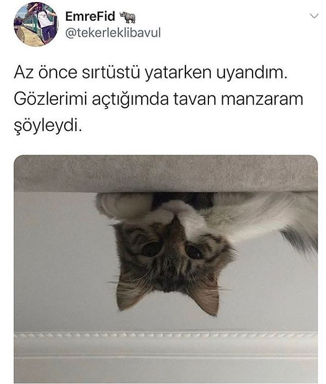 1. Hoop! Nasıl tak diye buradayım, saniyede!