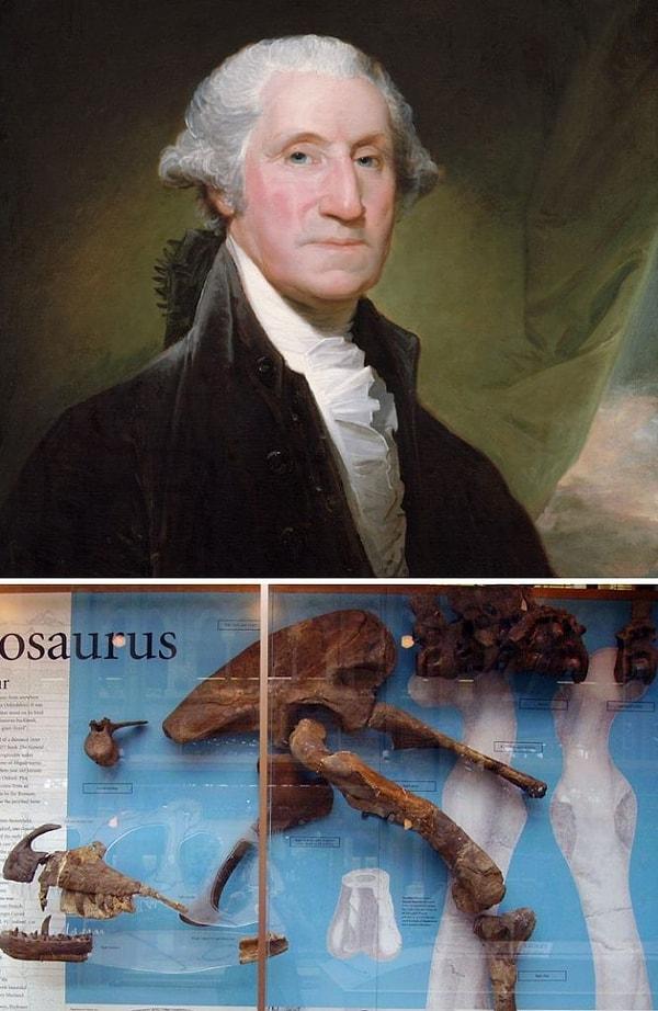 7. ABD'nin ilk başkanı George Washington, ilk fosilin bulunmasından 25 yıl önce 1799'da öldüğü için dinozorların varlığından bihaberdi.