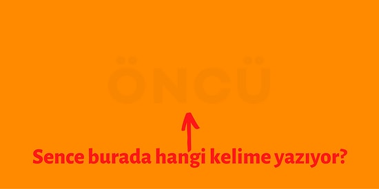 Sadece Turuncu Rengi Görebilen İnsanların Okuyabildiği Bu Kelimelerden Kaç Tanesini Bileceksin?