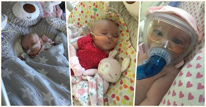 Doğumundan Hemen Sonra Kalp ve Akciğer Ameliyatları Geçiren ve Şimdi de Kovid-19'u Atlatan 6 Aylık Bebek
