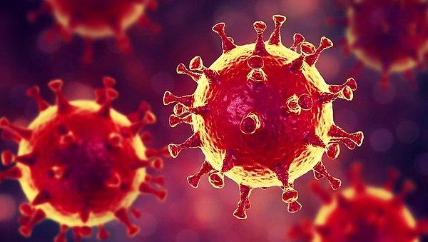 Uluslararası bir araştırma ekibi, pandemiye neden olan koronavirüsün belirli hücreleri hedef aldığını açıkladı.