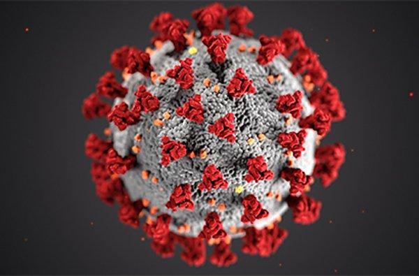 'Cell' dergisinde yayınlanan çalışma, virüsün hücreye girmek için iki insan proteinini kullandığını açıkladı.