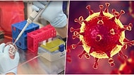 Bilim İnsanları Yeni Tip Koronavirüsün Vücudumuzdaki Hangi Hücreleri Hedef Aldığını Açıkladı!