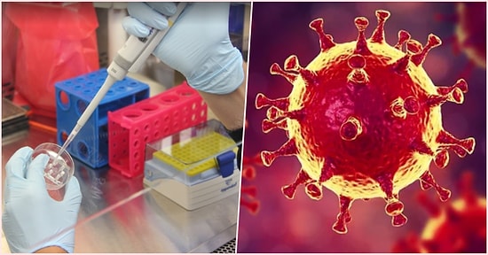 Bilim İnsanları Yeni Tip Koronavirüsün Vücudumuzdaki Hangi Hücreleri Hedef Aldığını Açıkladı!