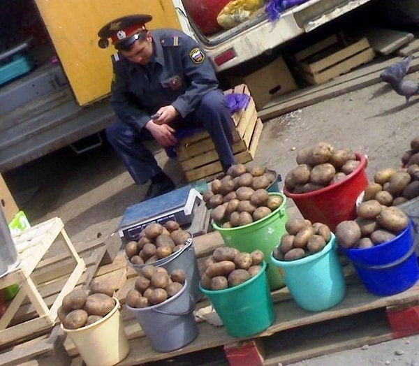 5. Подработка - дело хорошее!