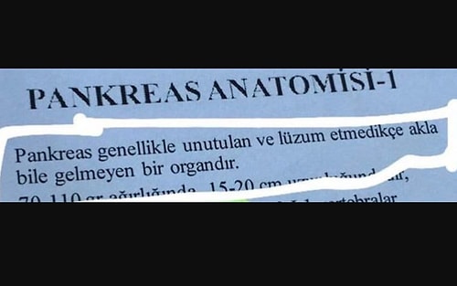 Görünce Bir Taraftan Hüzünlendirip Bir Taraftan da Güldürerek Duygu Karmaşası Yaşatacak 17 Kare