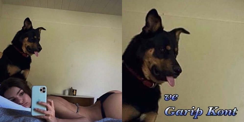 Televizyon Dünyasıyla İlgili Attıkları Komik Tweetlerle Hafta Boyunca Güldürenler