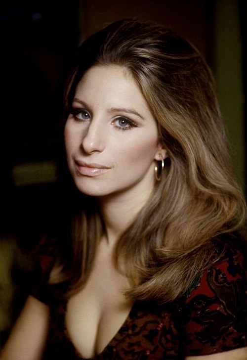 Şarkıcı ve oyuncu olan Barbara Streisand bunun en güzel örneklerinden biridir mesela. Eminim birçok insan burun ameliyatı olması konusunda ona baskı kurmuştur.