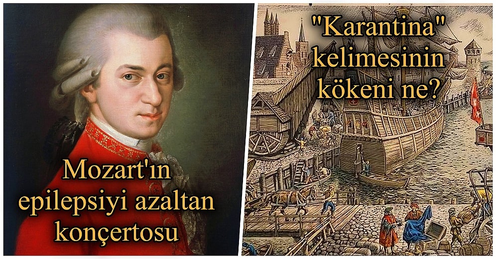 Acayip Bilgiler Kuşağı: Monotonlaşan Hayatınıza Yeniden Anlam Katacak 15 İlginç Gerçek