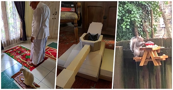 Karantinada Geçirdikleri Süreyi Hayvan Dostlarıyla Uğraşarak Güzelleştiren Tatlı İnsanlar