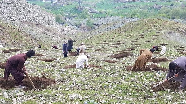 Пакистан, с другой стороны, нашел отличный способ помочь своим гражданам, которые потеряли работу из-за кризиса, наняв их для посадки саженцев в рамках программы "10 миллиардов деревьев".